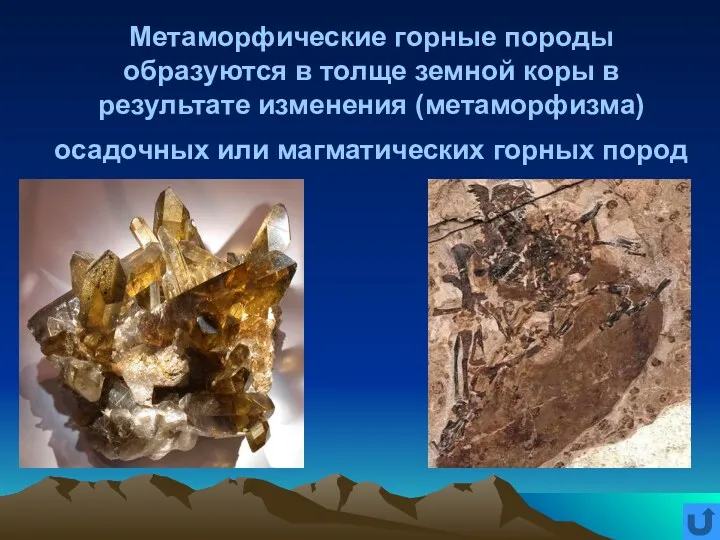 Метаморфические горные породы образуются в толще земной коры в результате изменения (метаморфизма) осадочных