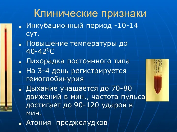 Клинические признаки Инкубационный период -10-14 сут. Повышение температуры до 40-420С Лихорадка постоянного типа