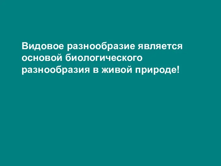 Видовое разнообразие является основой биологического разнообразия в живой природе!