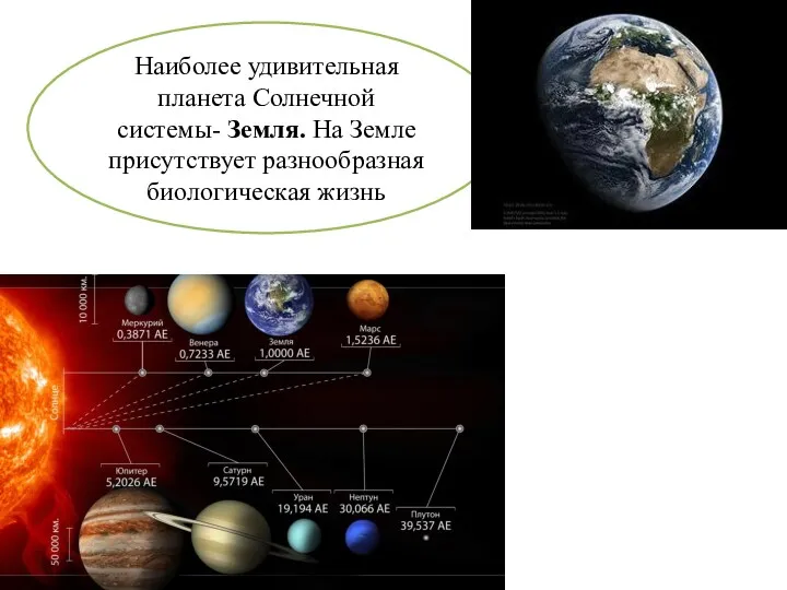 Наиболее удивительная планета Солнечной системы- Земля. На Земле присутствует разнообразная биологическая жизнь