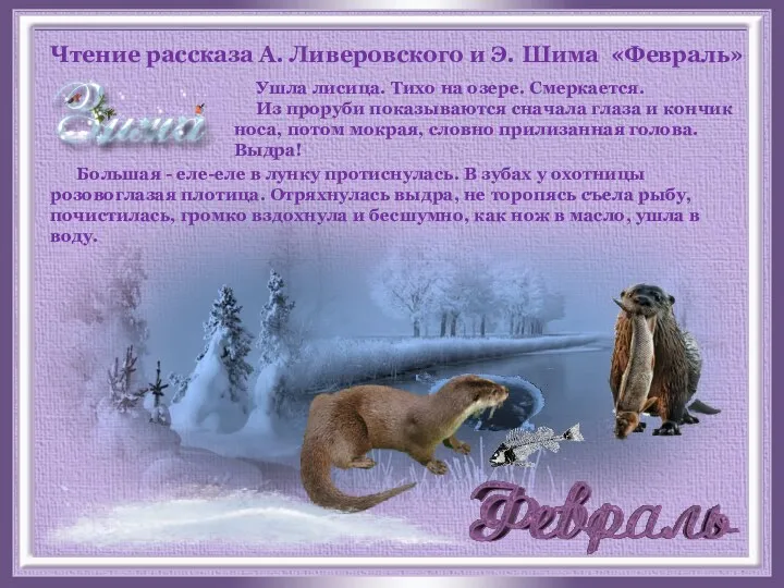 Чтение рассказа А. Ливеровского и Э. Шима «Февраль» Ушла лисица.