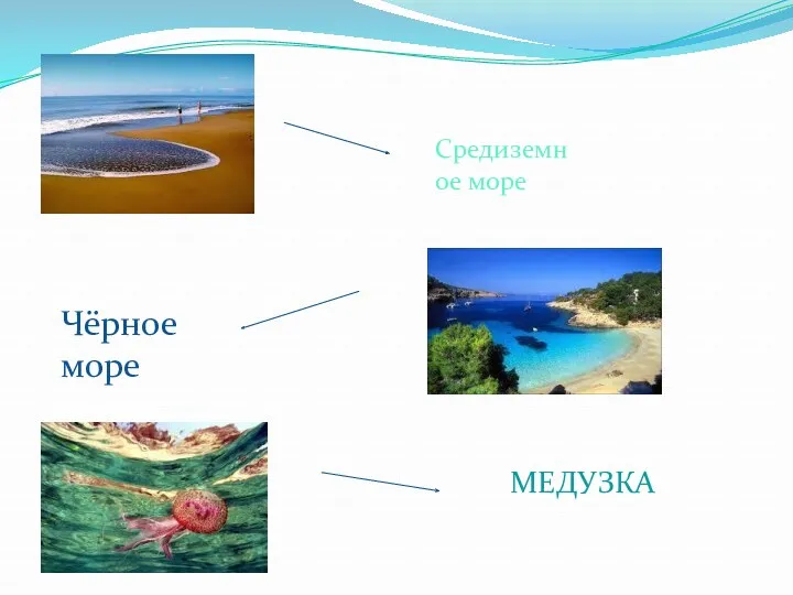 Средиземное море Чёрное море МЕДУЗКА