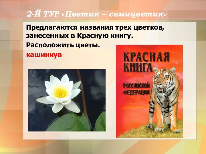 2-Й ТУР «Цветик – семицветик» Предлагаются названия трех цветков, занесенных в Красную книгу. Расположить цветы. кашинкув