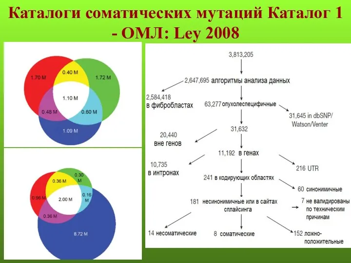 Каталоги соматических мутаций Каталог 1 - ОМЛ: Ley 2008