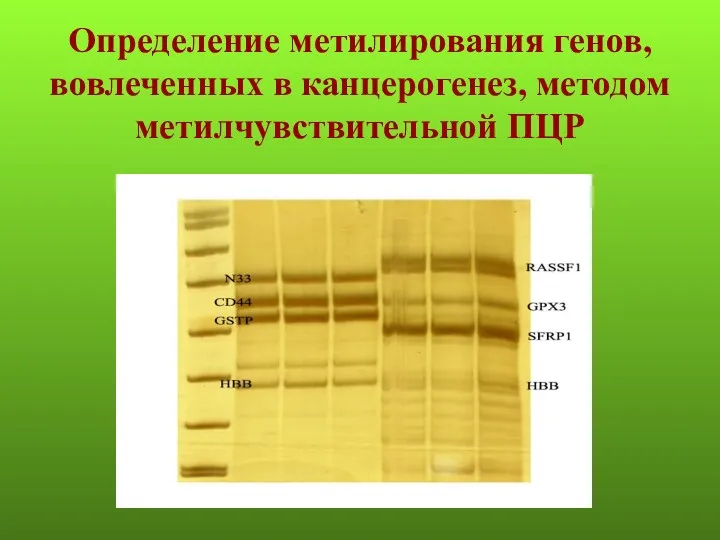 Определение метилирования генов, вовлеченных в канцерогенез, методом метилчувствительной ПЦР