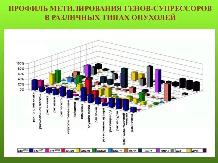 ПРОФИЛЬ МЕТИЛИРОВАНИЯ ГЕНОВ-СУПРЕССОРОВ В РАЗЛИЧНЫХ ТИПАХ ОПУХОЛЕЙ