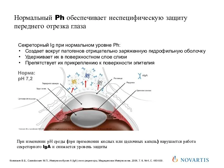 Нормальный Ph обеспечивает неспецифическую защиту переднего отрезка глаза Секреторный Ig
