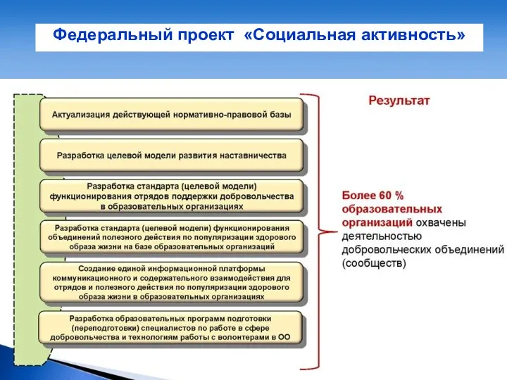 Федеральный проект «Социальная активность»