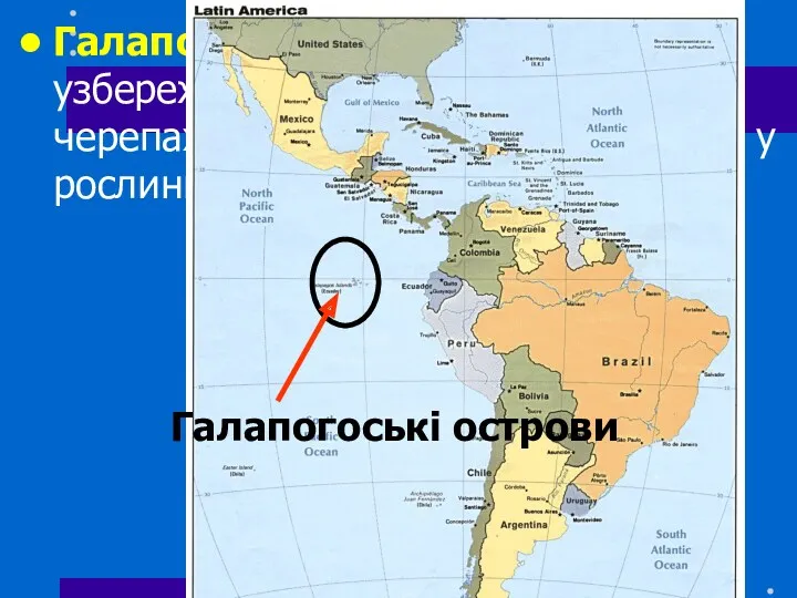 Галапогоські острови(на захід від узбережжя Еквадору) відомі своїми черепахами та