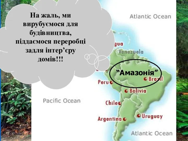 http://www.ran.org/info_center/about_rainforests.html Тропічні ліси: Коста-Ріка і Бразилія – Амазонія (Бразилія) є