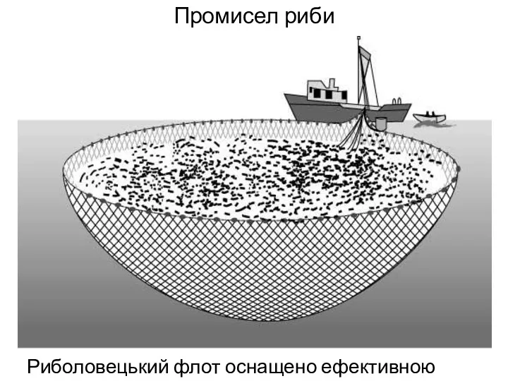 Промисел риби Риболовецький флот оснащено ефективною технікою
