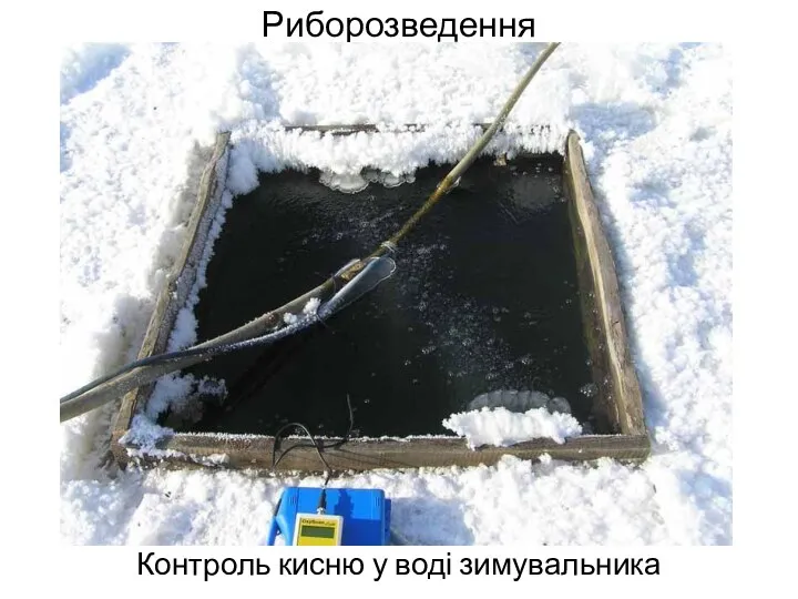 Риборозведення Контроль кисню у воді зимувальника