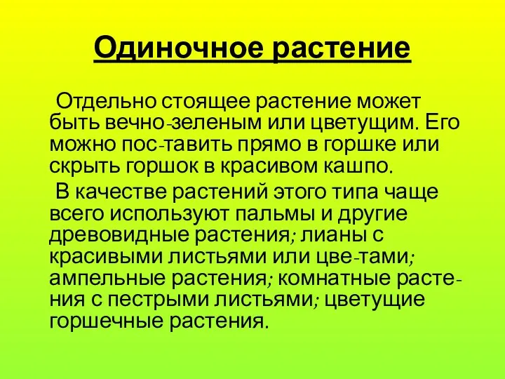 Одиночное растение Отдельно стоящее растение может быть вечно-зеленым или цветущим.