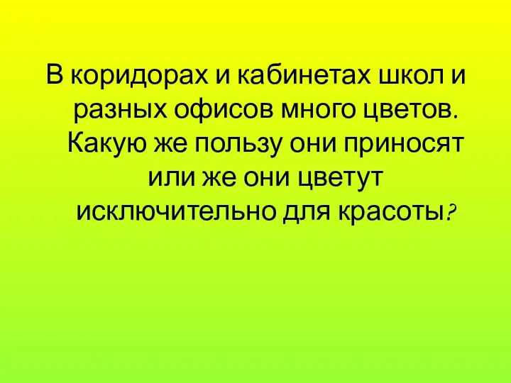 В коридорах и кабинетах школ и разных офисов много цветов.