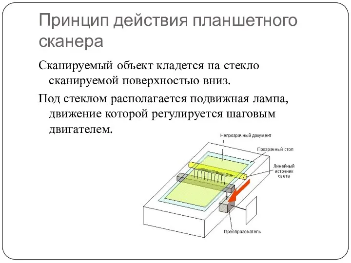 Принцип действия планшетного сканера Сканируемый объект кладется на стекло сканируемой поверхностью вниз. Под
