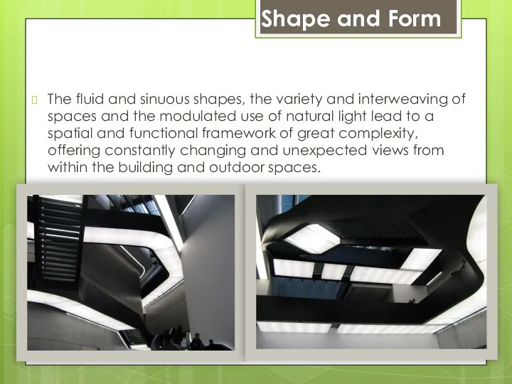 Shape and Form The fluid and sinuous shapes, the variety