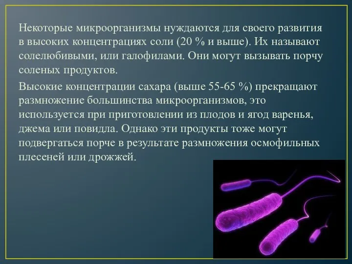 Некоторые микроорганизмы нуждаются для своего развития в высоких концентрациях соли (20 % и