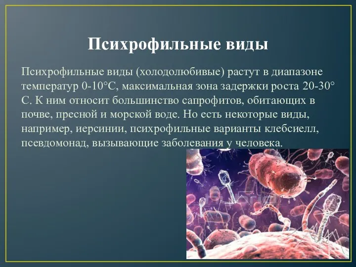 Психрофильные виды Психрофильные виды (холодолюбивые) растут в диапазоне температур 0-10°С, максимальная зона задержки