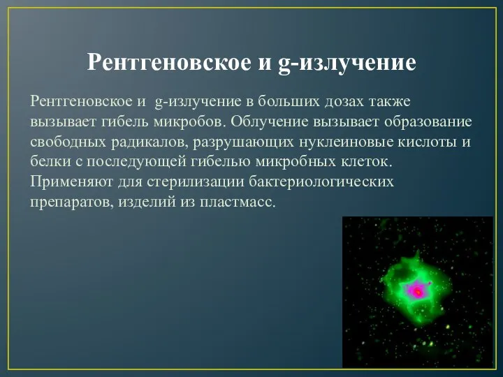 Рентгеновское и g-излучение Рентгеновское и g-излучение в больших дозах также