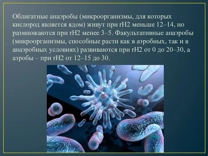 Облигатные анаэробы (микроорганизмы, для которых кислород является ядом) живут при rН2 меньше 12–14,