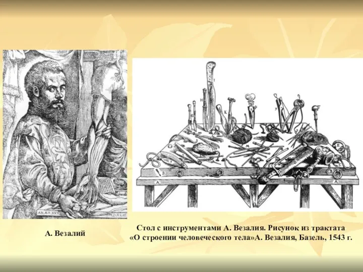 Стол с инструментами А. Везалия. Рисунок из трактата «О строении человеческого тела»А. Везалия,