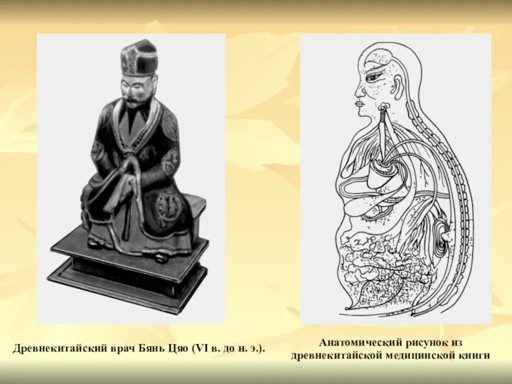 Анатомический рисунок из древнекитайской медицинской книги Древнекитайский врач Бянь Цяо (VI в. до н. э.).