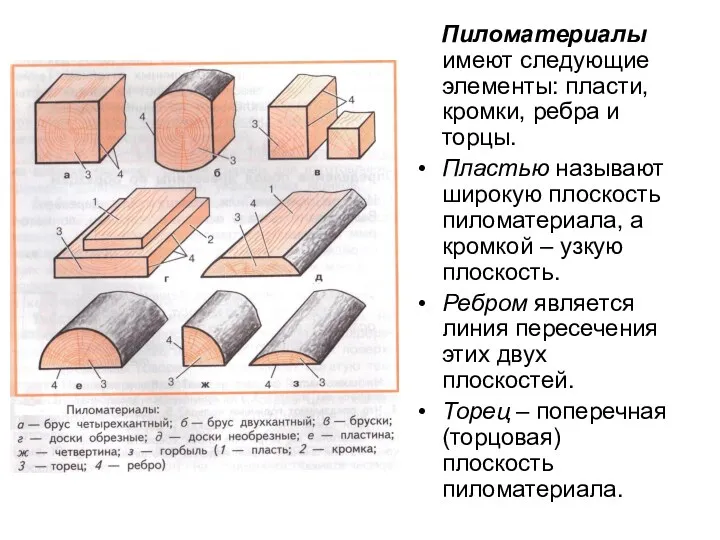 Пиломатериалы имеют следующие элементы: пласти, кромки, ребра и торцы. Пластью