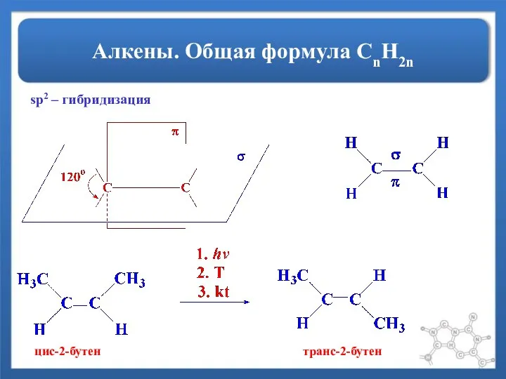 Алкены. Общая формула СnH2n sp2 – гибридизация цис-2-бутен транс-2-бутен