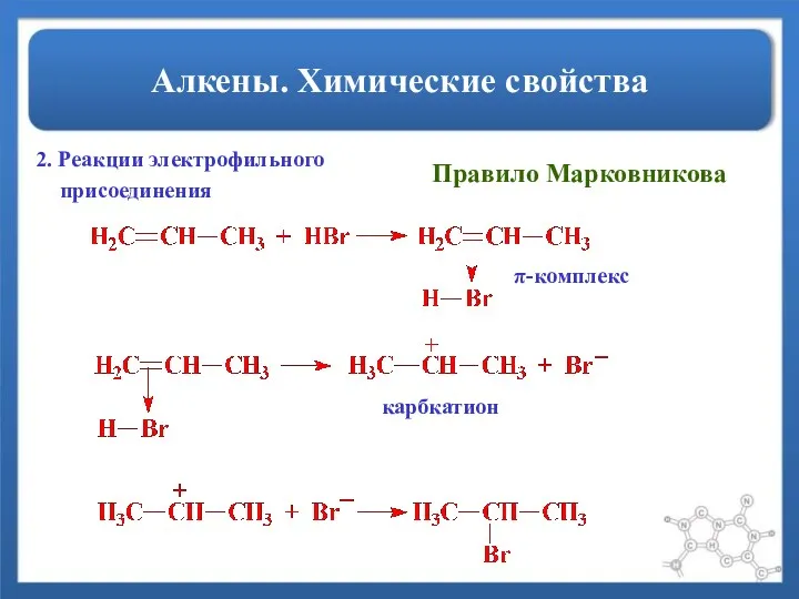 Алкены. Химические свойства 2. Реакции электрофильного присоединения π-комплекс карбкатион Правило Марковникова