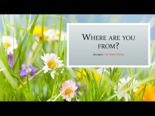 Where are you from? Answer: I’m from China
