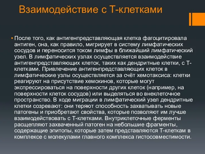 Взаимодействие с Т-клетками После того, как антигенпредставляющая клетка фагоцитировала антиген,