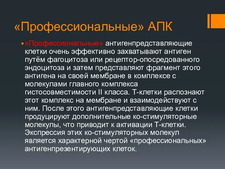 «Профессиональные» АПК «Профессиональные» антигенпредставляющие клетки очень эффективно захватывают антиген путём