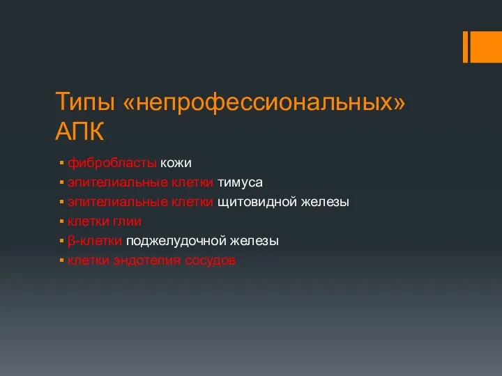 Типы «непрофессиональных» АПК фибробласты кожи эпителиальные клетки тимуса эпителиальные клетки