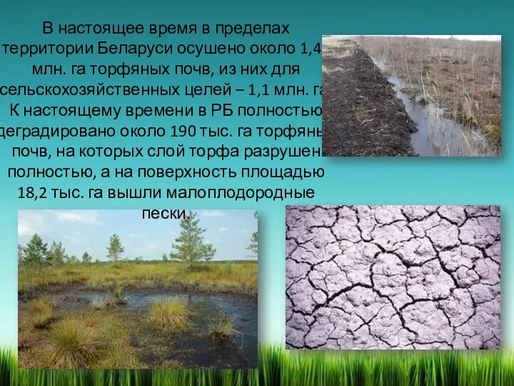 В настоящее время в пределах территории Беларуси осушено около 1,45