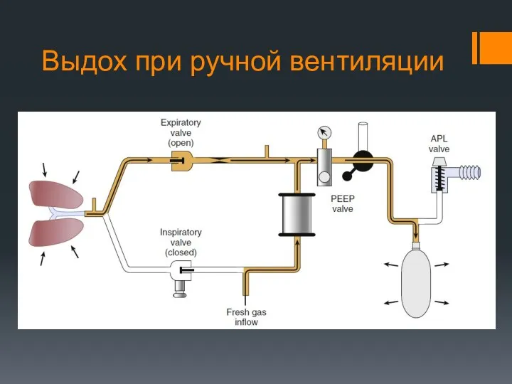 Выдох при ручной вентиляции