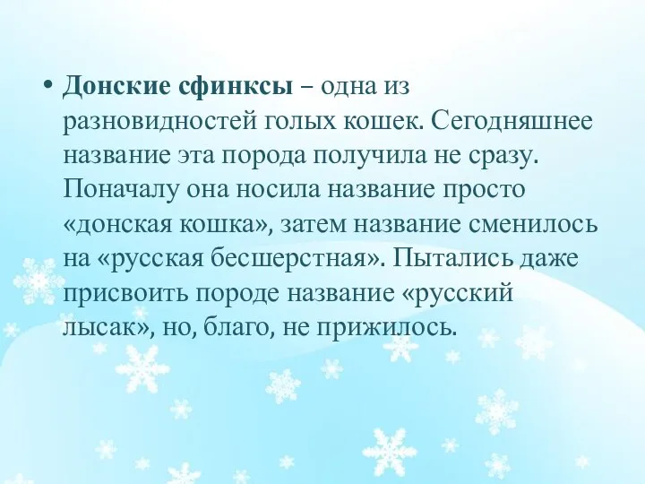 Донские сфинксы – одна из разновидностей голых кошек. Сегодняшнее название