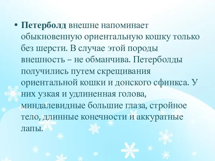 Петерболд внешне напоминает обыкновенную ориентальную кошку только без шерсти. В