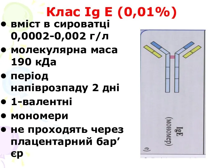 Клас Ig Е (0,01%) вміст в сироватці 0,0002-0,002 г/л молекулярна маса 190 кДа