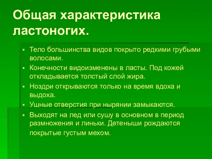 Общая характеристика ластоногих. Тело большинства видов покрыто редкими грубыми волосами.