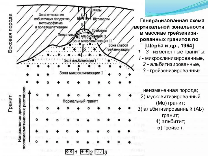 Генерализованная схема вертикальной зональности в массиве грейзенизи-рованных гранитов по [Щерба