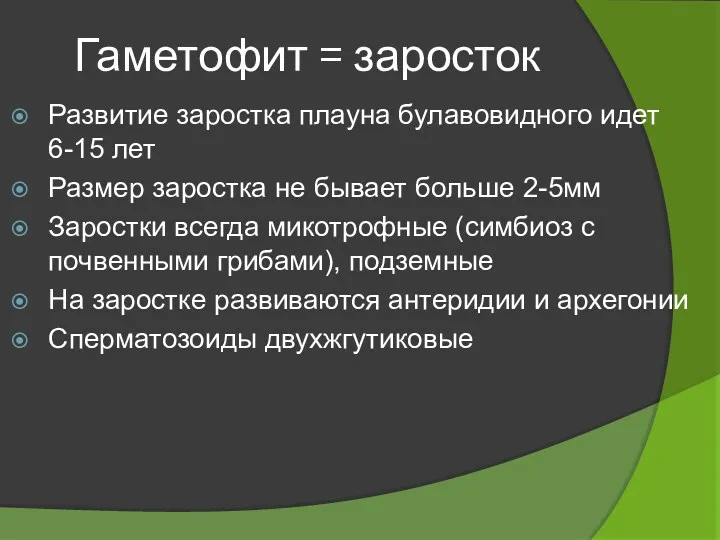 Гаметофит = заросток Развитие заростка плауна булавовидного идет 6-15 лет