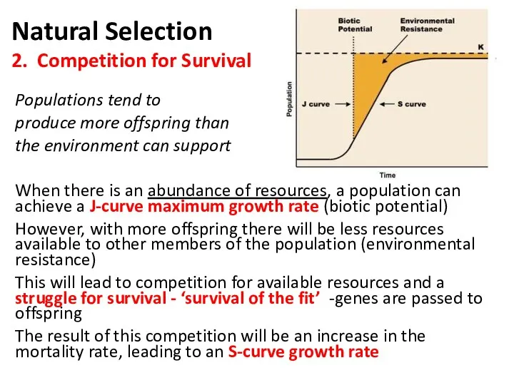 Natural Selection 2. Competition for Survival Populations tend to produce