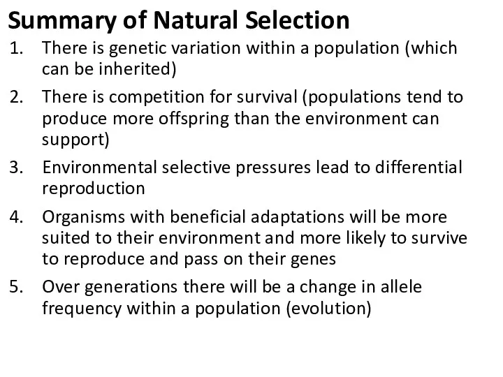 Summary of Natural Selection There is genetic variation within a