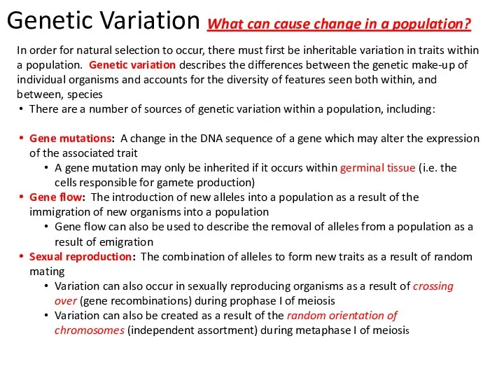 Genetic Variation What can cause change in a population? In