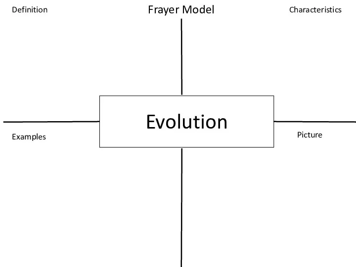 Evolution Definition Examples Characteristics Picture Frayer Model