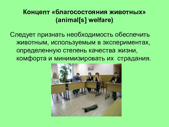 Концепт «благосостояния животных» (animal[s] welfare) Следует признать необходимость обеспечить животным, используемым в экспериментах,