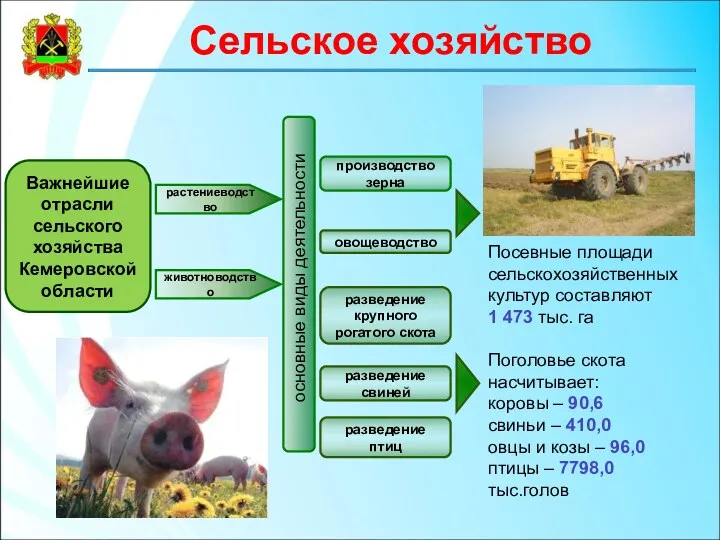 Сельское хозяйство животноводство растениеводство Важнейшие отрасли сельского хозяйства Кемеровской области основные виды деятельности