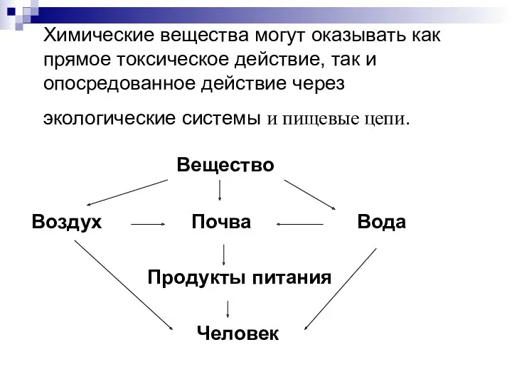 Химические вещества могут оказывать как прямое токсическое действие, так и