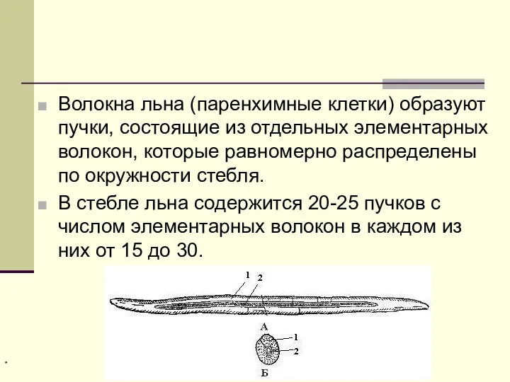 Волокна льна (паренхимные клетки) образуют пучки, состоящие из отдельных элементарных волокон, которые равномерно