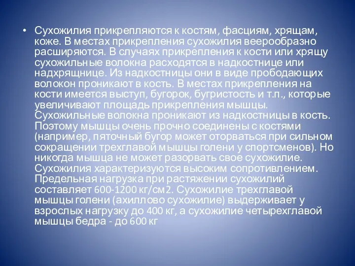 Сухожилия прикрепляются к костям, фасциям, хрящам, коже. В местах прикрепления